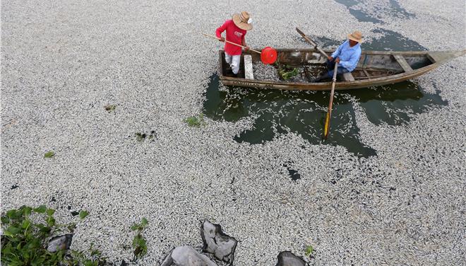 Τουλάχιστον 48 τόνοι ψαριών βρέθηκαν νεκρά σε λίμνη του Μεξικού