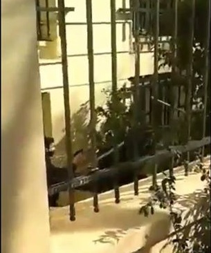 Ασφαλίτης έβγαλε όπλο μέσα στην ΑΣΟΕΕ καταγγέλλουν φοιτητές
