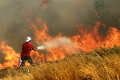 Πυρκαγιές σε Ηράκλειο, Λασίθι και Ρόδο