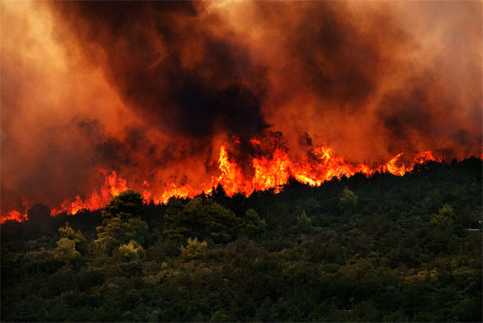 Πυρκαγιά σε δασική περιοχή στο Άστρος Κυνουρίας