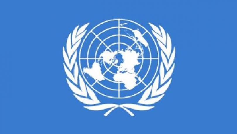 Ειδικοί του ΟΗΕ επικροτούν το δημοψήφισμα, επικρίνοντας ΔΝΤ, ΕΕ και … υστερικούς!
