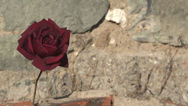 Προβολή ντοκιμαντέρ «Τα ρόδα, τα τριαντάφυλλα (Το μπλόκο της Καλαμαριάς)» του Μιχάλη Αγραφιώτη