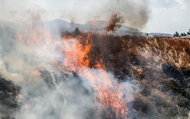 Υπό μερικό έλεγχο η πυρκαγιά στην κορυφή του νησιού της Θάσου