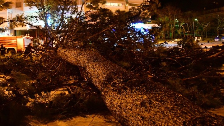 Ερωτήματα για την Περιφέρεια θέτει η Ανταρσία για τις καταστροφές στη Χαλκιδική