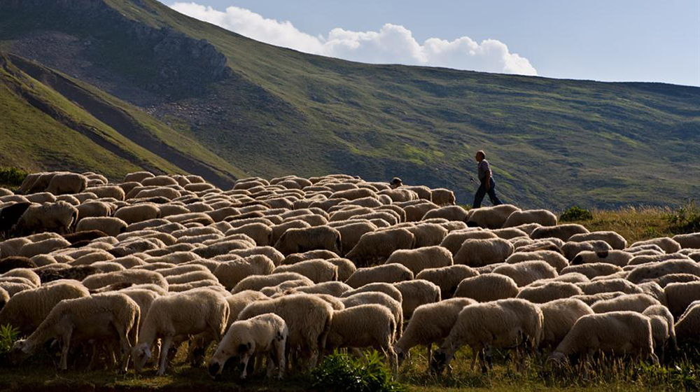 Συλλαλητήριο κτηνοτρόφων στην Περιφέρεια Κεντρικής Μακεδονίας για την εξισωτική αποζημίωση