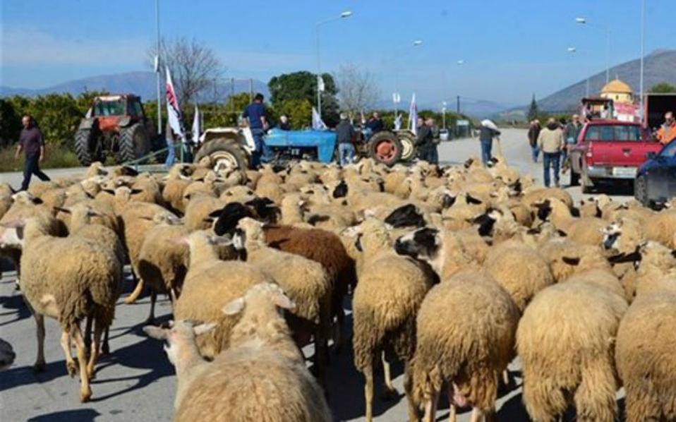 «Ραντεβού» για κινητοποιήσεις στην Αθήνα δίνουν οι κτηνοτρόφοι