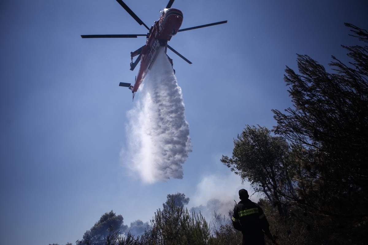 Χιλιάδες στρέμματα δασικής έκτασης έγιναν στάχτη από την πυρκαγιά στη Μυτιλήνη