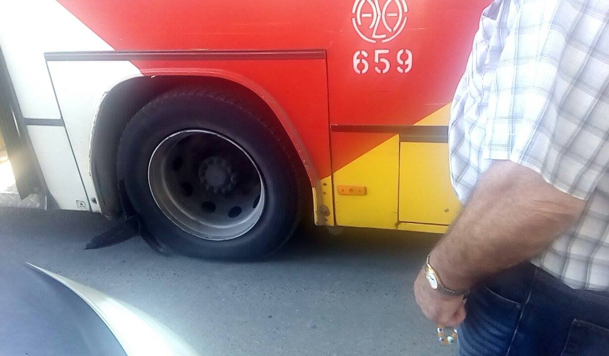Τα οχήματα υπό κατάρρευση: Λάστιχο λεωφορείου του ΟΑΣΘ «έσκασε» ενώ εκτελούσε δρομολόγιο