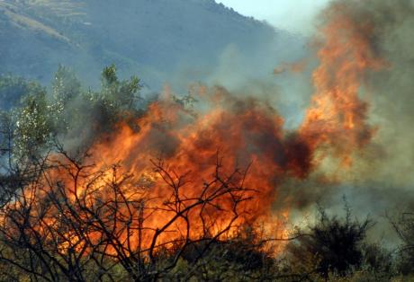 Πυρκαγιά σε δασική έκταση στην Κόρινθο
