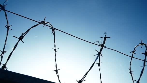 Καταγγελία για ξυλοδαρμό ασυνόδευτου ανηλίκου προσφυγόπουλου στο φυλάκιο Αλεξανδρούπολης