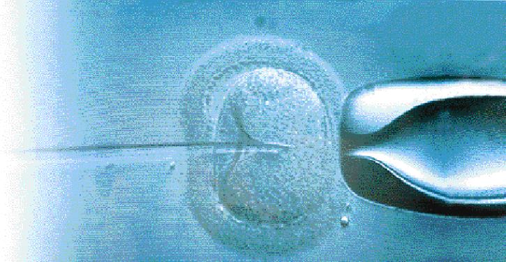 Πιθανή η δημιουργία γυναικείου σπέρματος και ανδρικών ωαρίων