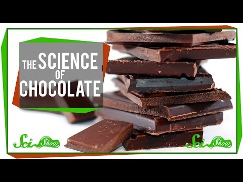 Όλα όσα πρέπει να γνωρίζεις για τη σοκολάτα
